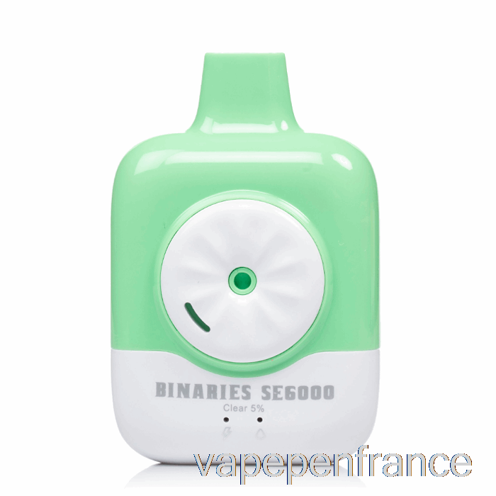 Horizon Binaries SE6000 Stylo Vape Transparent Jetable